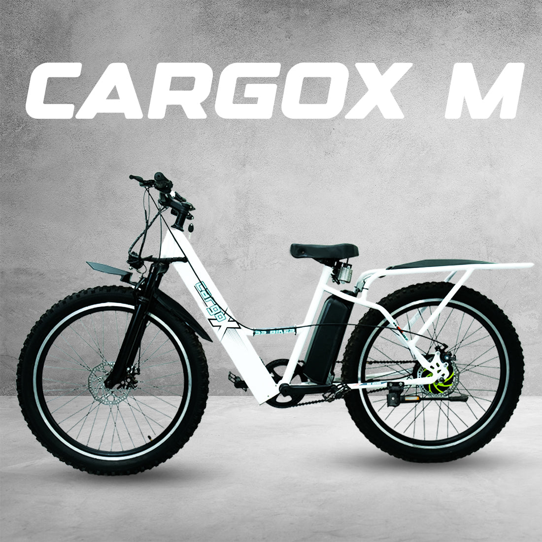 SS Bikes CargoX – 350W Motor | 50-115+ km Range | 36V Battery | Ideal for Delivery