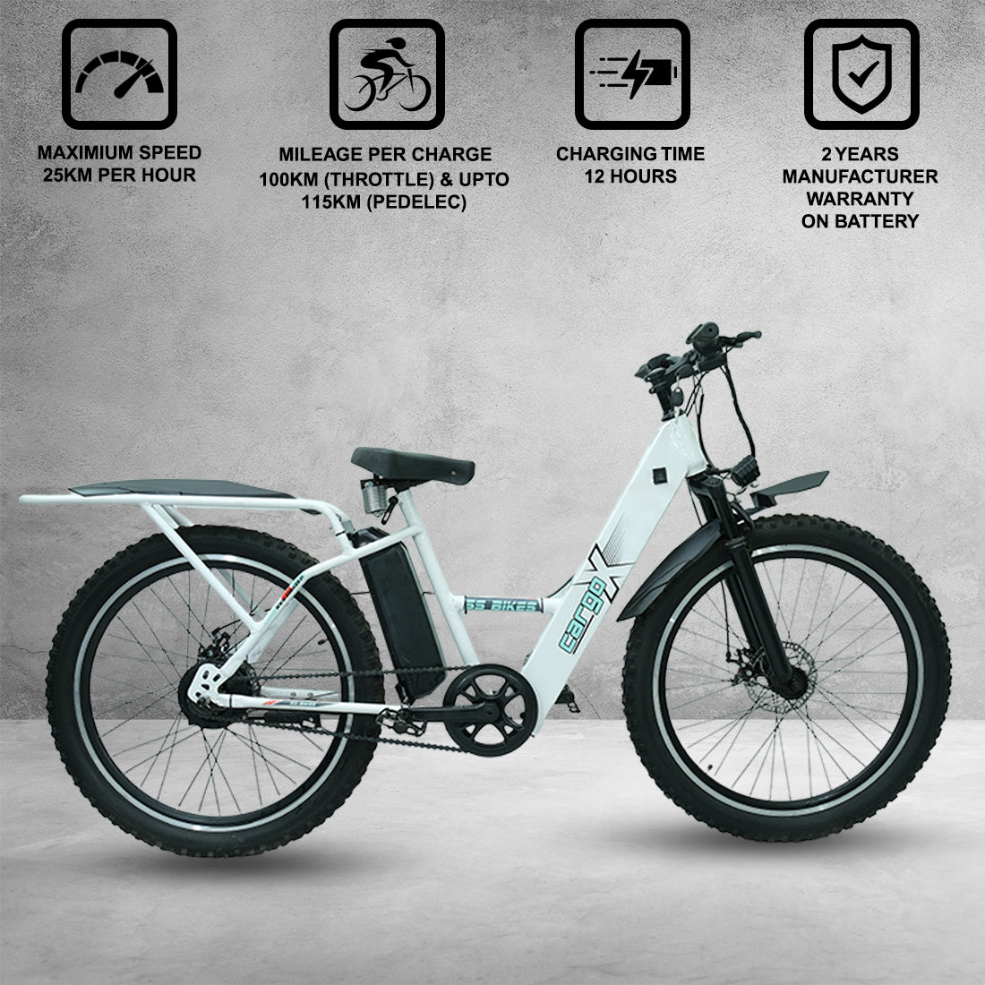 SS Bikes CargoX – 350W Motor | 50-115+ km Range | 36V Battery | Ideal for Delivery