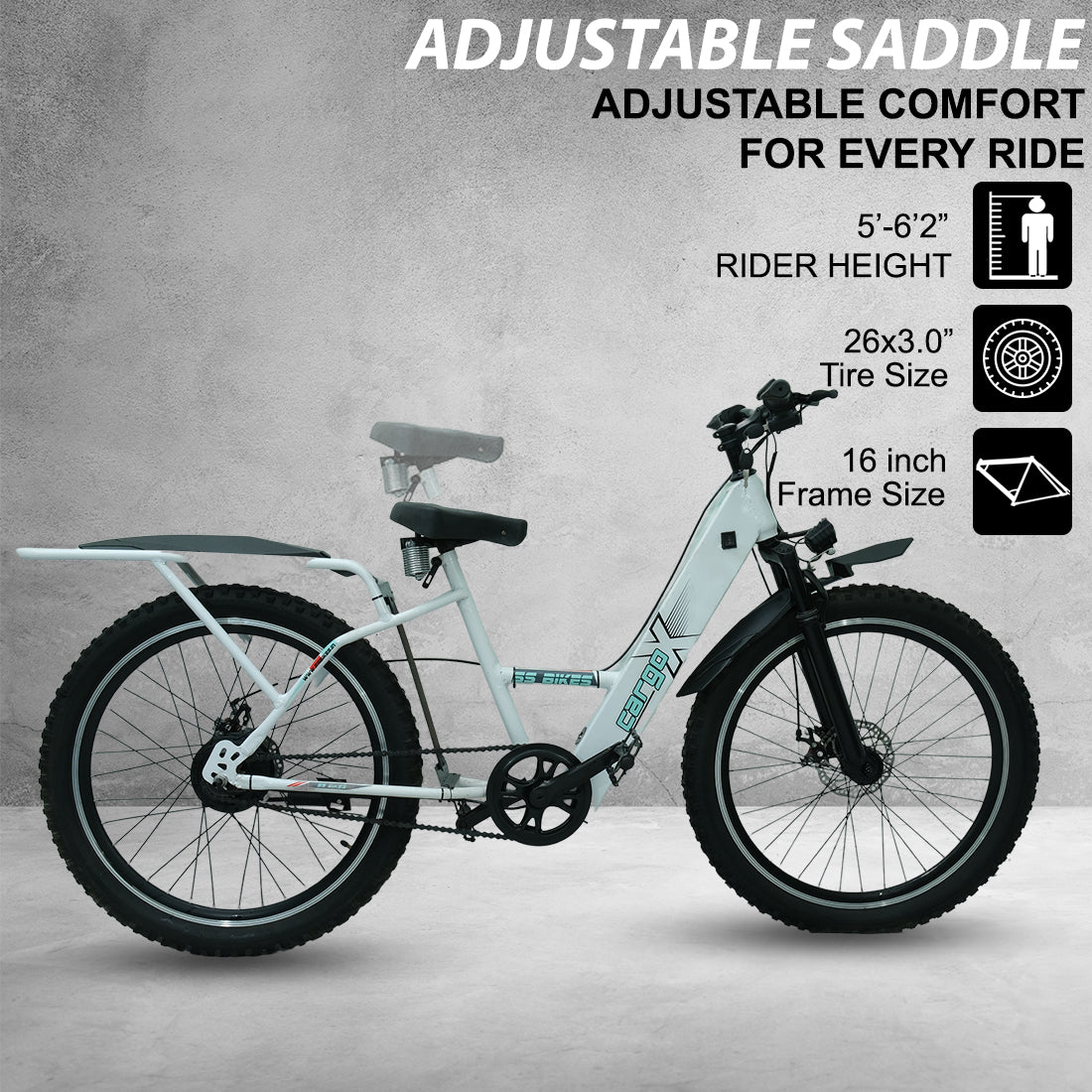 SS Bikes CargoX – 350W Motor | 50-115+ km Range | 36V Battery | Ideal for Delivery