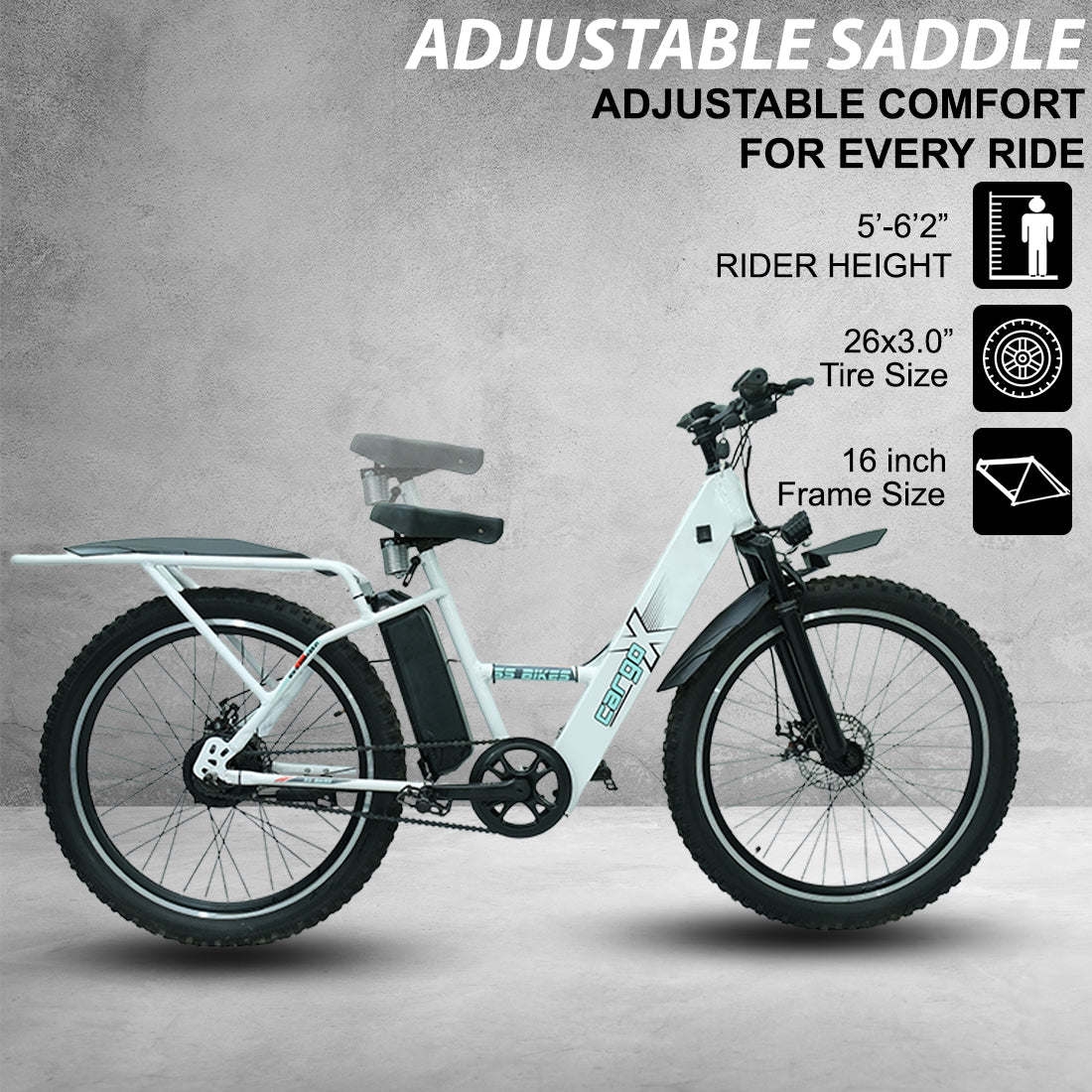 SS Bikes CargoX – 350W Motor | 50-115+ km Range | 36V Battery | Ideal for Delivery