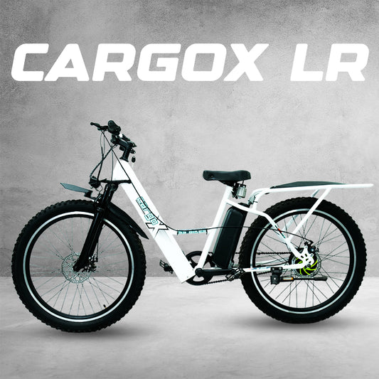 SS Bikes CargoX LR – 350W Motor | 50-115+ km Range | 36V Battery | Ideal for Delivery