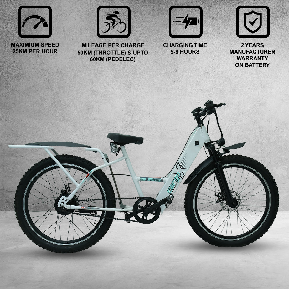 SS Bikes CargoX – 350W Motor | 35-100+ km Range | 36V Battery | Ideal for Delivery