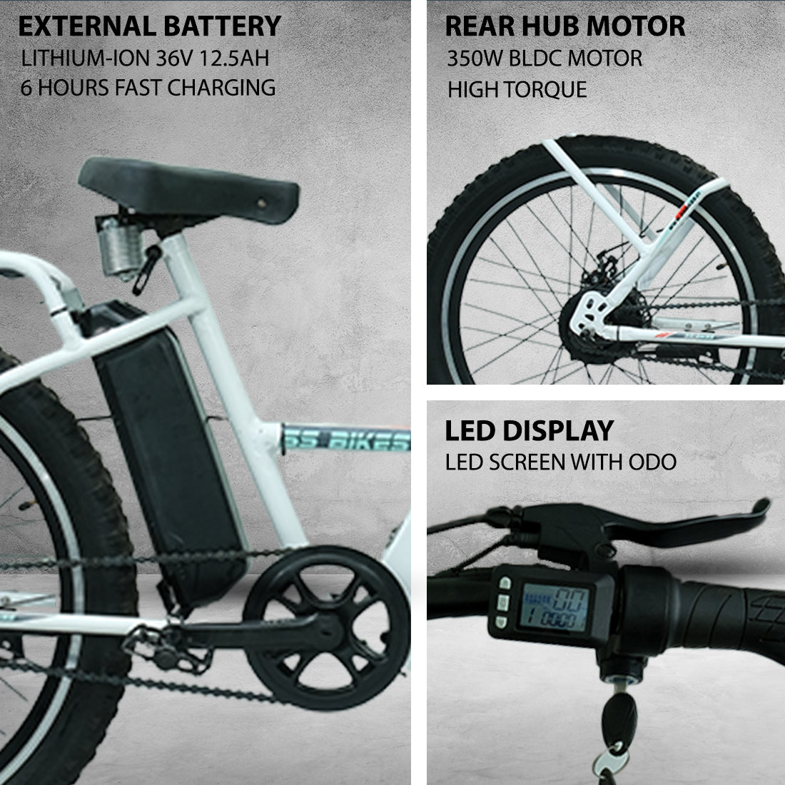 SS Bikes CargoX – 350W Motor | 35-100+ km Range | 36V Battery | Ideal for Delivery