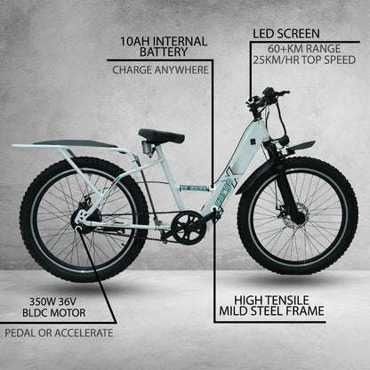 SS Bikes CargoX Booking – 350W Motor | 50-115+ km Range | 36V Battery | Ideal for Delivery