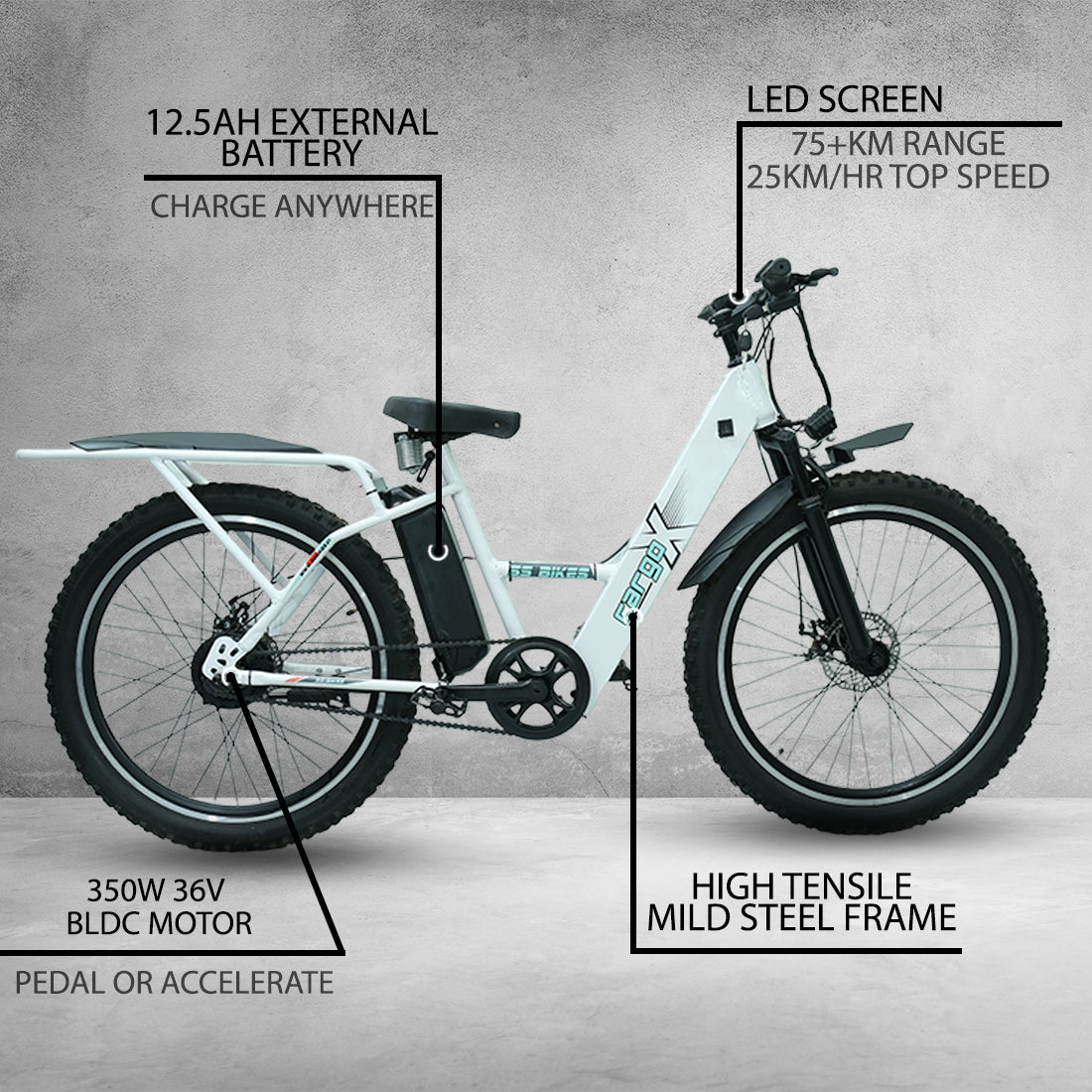 SS Bikes CargoX – 350W Motor | 35-100+ km Range | 36V Battery | Ideal for Delivery