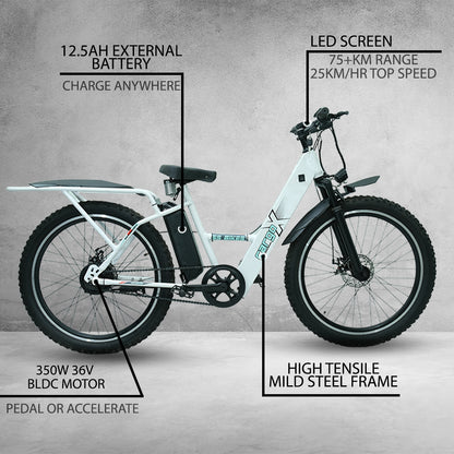 SS Bikes CargoX Booking – 350W Motor | 50-115+ km Range | 36V Battery | Ideal for Delivery