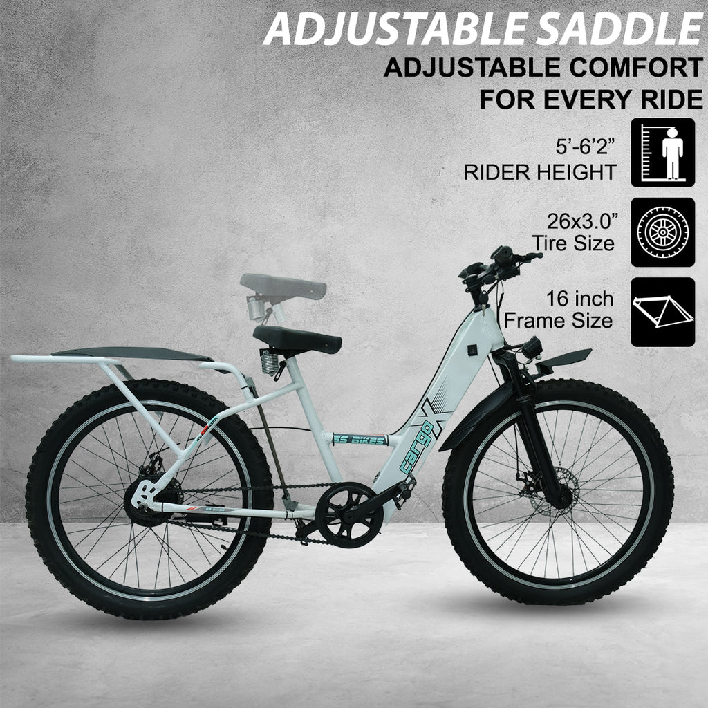 SS Bikes CargoX – 350W Motor | 35-100+ km Range | 36V Battery | Ideal for Delivery
